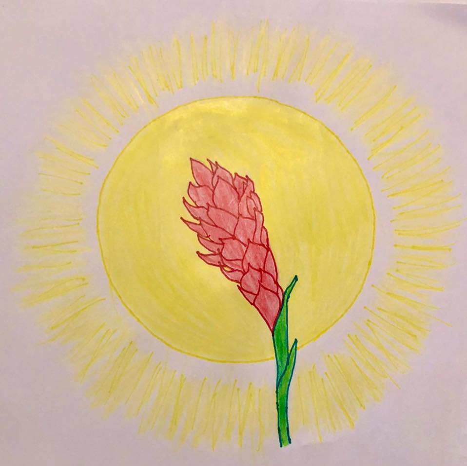 Sol Massage and Healing